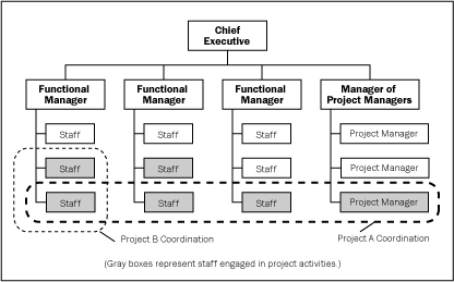 balanced matrix organization