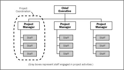 Projectized Organization Chart