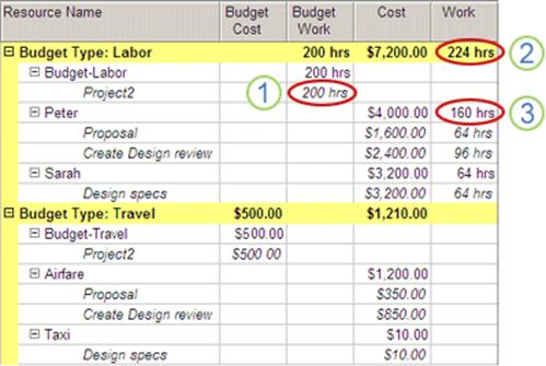 Graphic showing budget resources in Resourse Usage view.